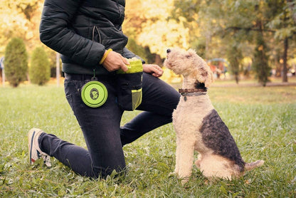 Dog Training Treat Pouch with Poop Bag Dispenser, Professional Clicker, Collapsible Travel Bowl, and Reflective Shoulder Strap - Black/Green