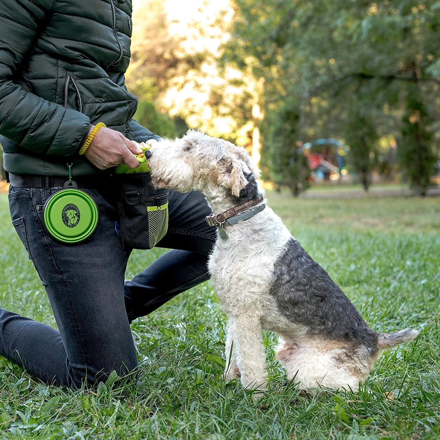 Dog Training Treat Pouch with Poop Bag Dispenser, Professional Clicker, Collapsible Travel Bowl, and Reflective Shoulder Strap - Black/Green